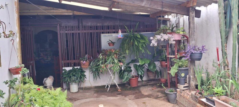 32eeda1a-85ff-4d2a-a760-752b770cf08c