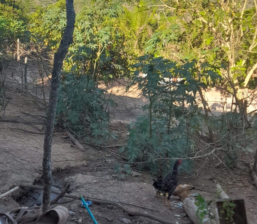 81deb57a-faa6-4d26-9116-69cac5412ffd