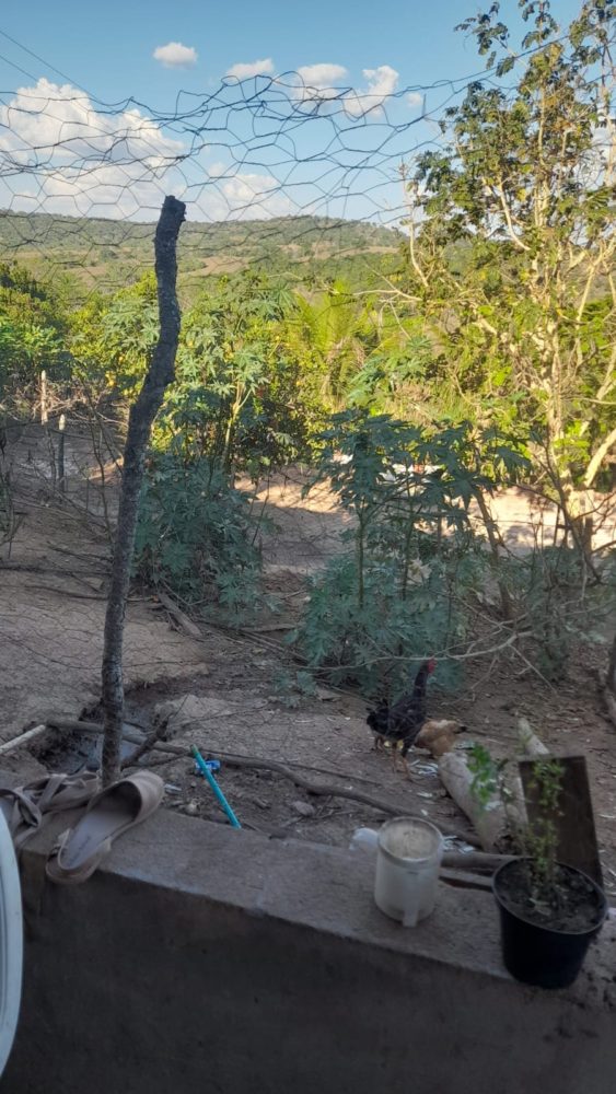 81deb57a-faa6-4d26-9116-69cac5412ffd