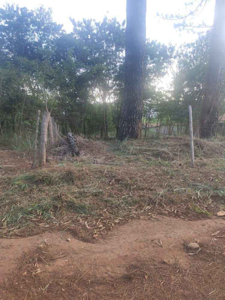 0bbc4b89-e584-4ec6-b76f-81e8168475a7