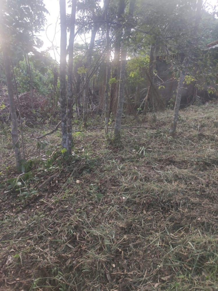 15377196-76f8-46b4-be47-371c22538c26