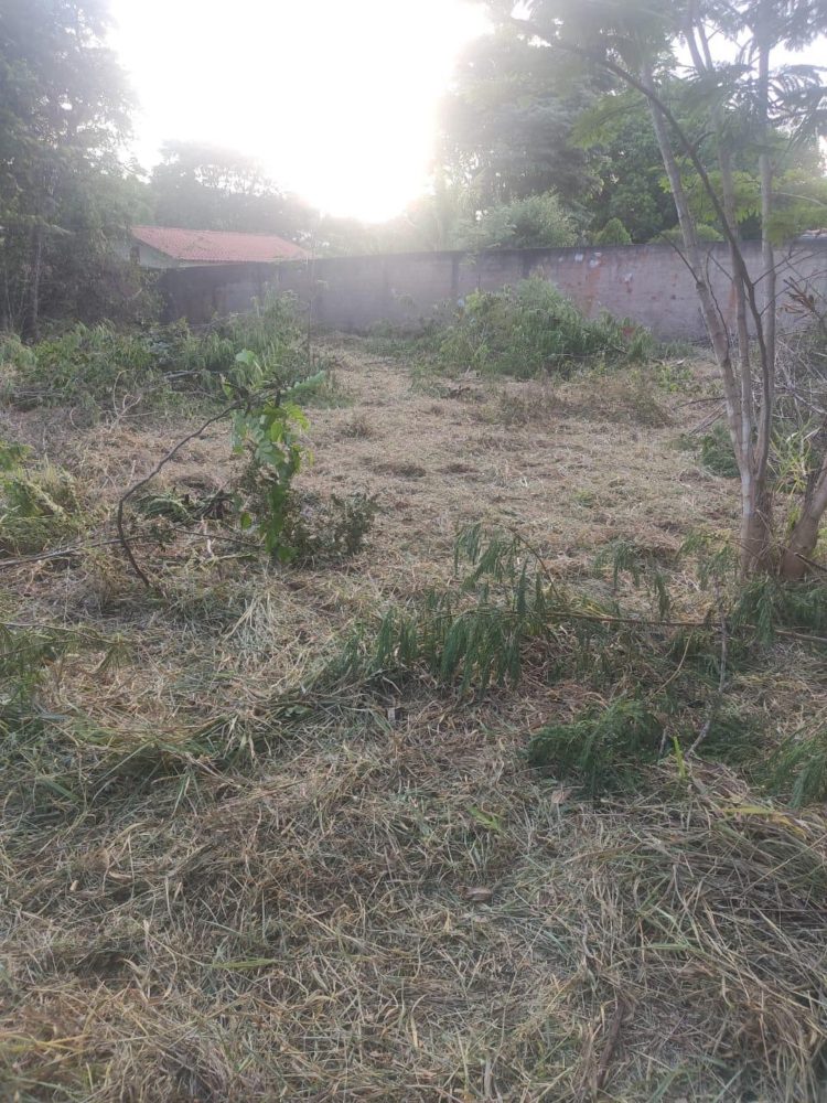 282eeef9-8750-4c1e-becb-5c8318ffe62e