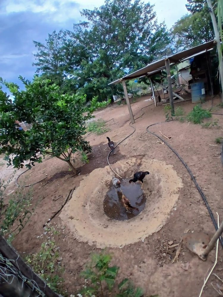 4488224d-1c75-4164-a63b-272c0835f5d9