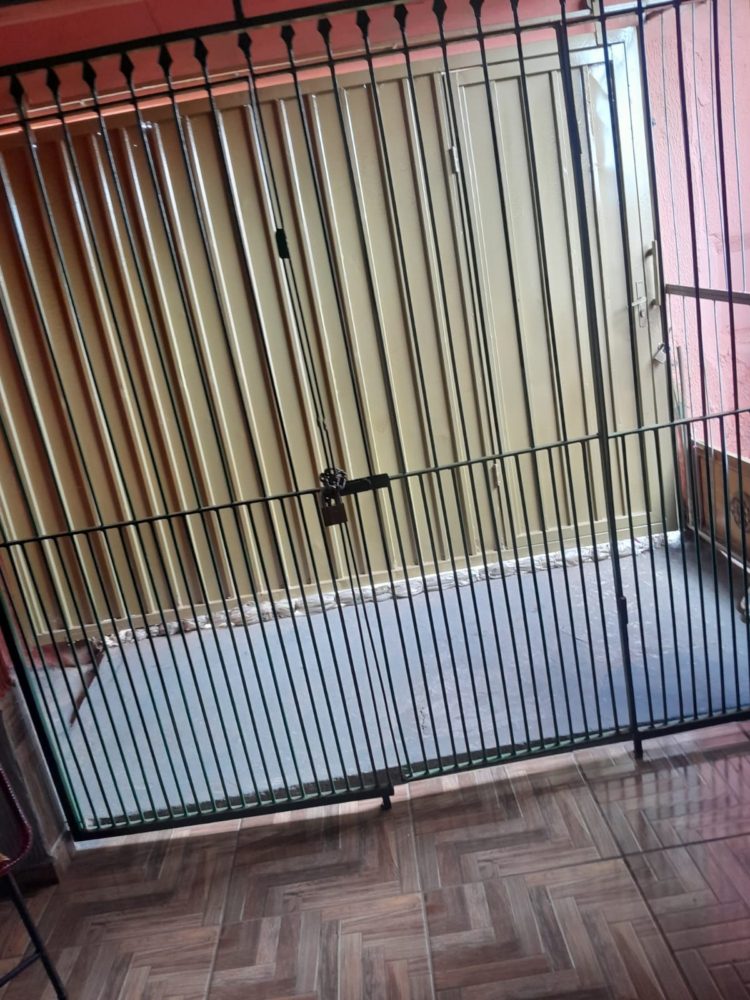 59045148-1946-46af-a703-6471b8aa18dc