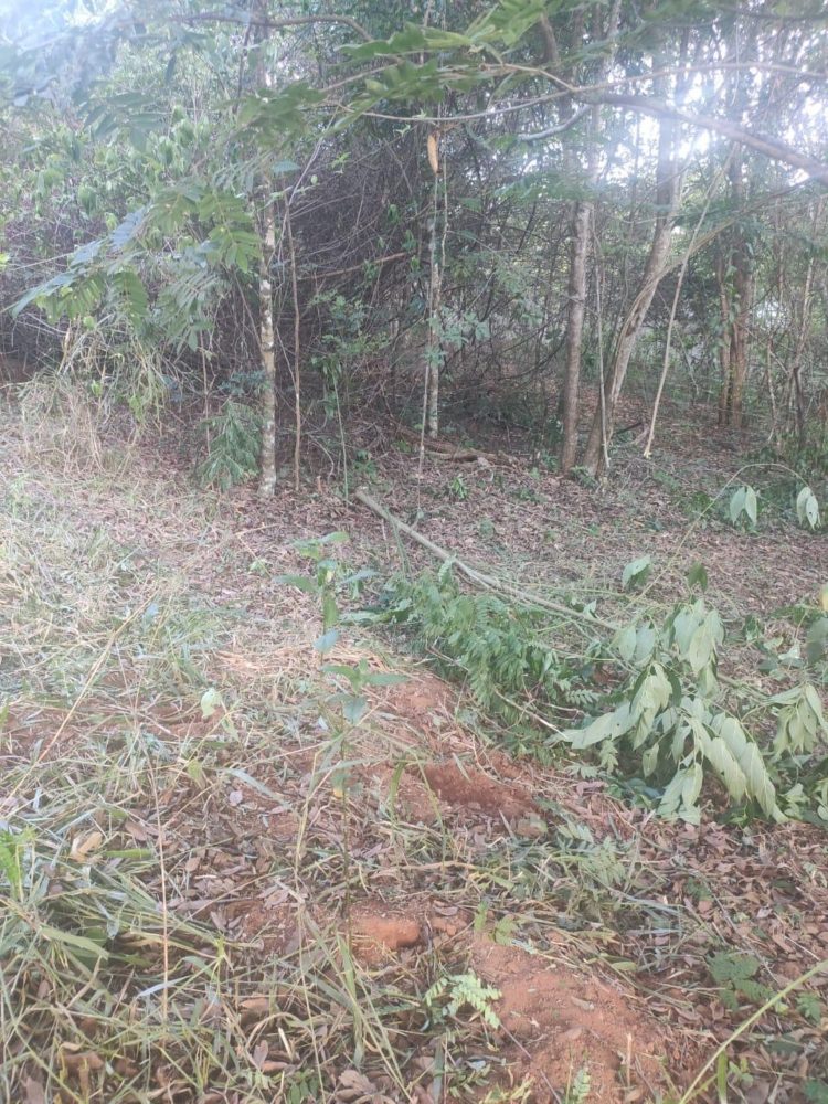 5e82f41f-94ac-4f83-a2fd-7b1d99f58f54