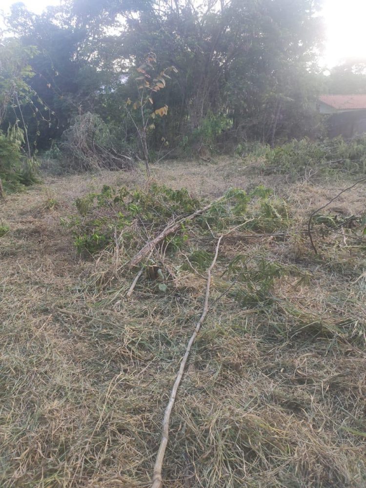 7681c01c-e7b5-44d5-a8a6-d5f56902e3cd