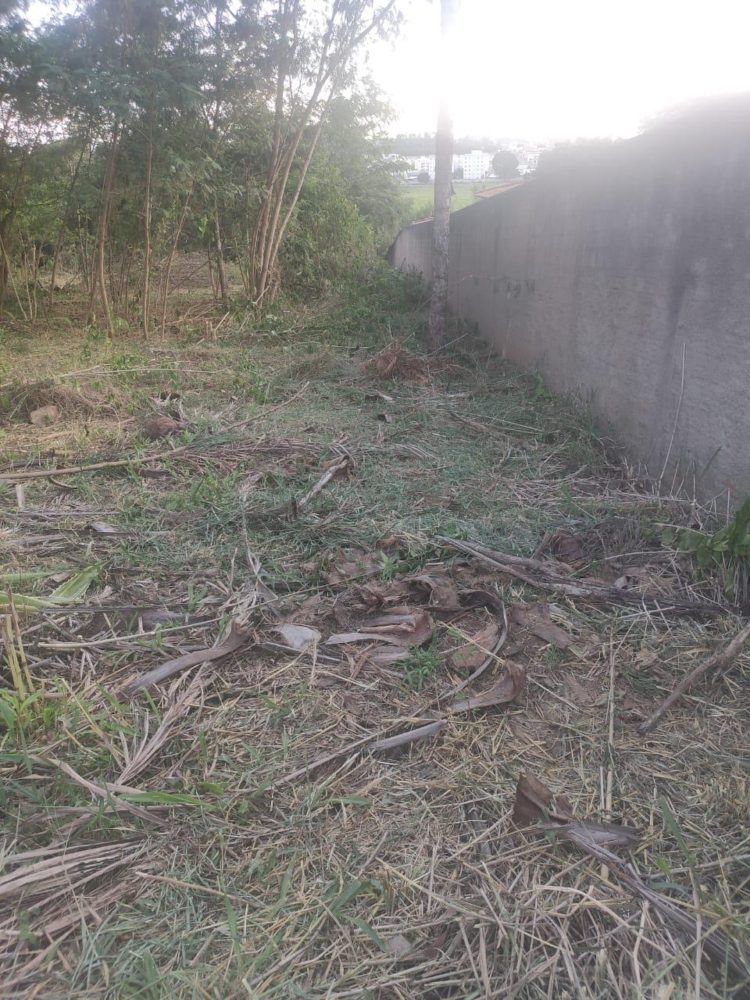 bd53fd63-a097-4369-9897-a046347e65f4