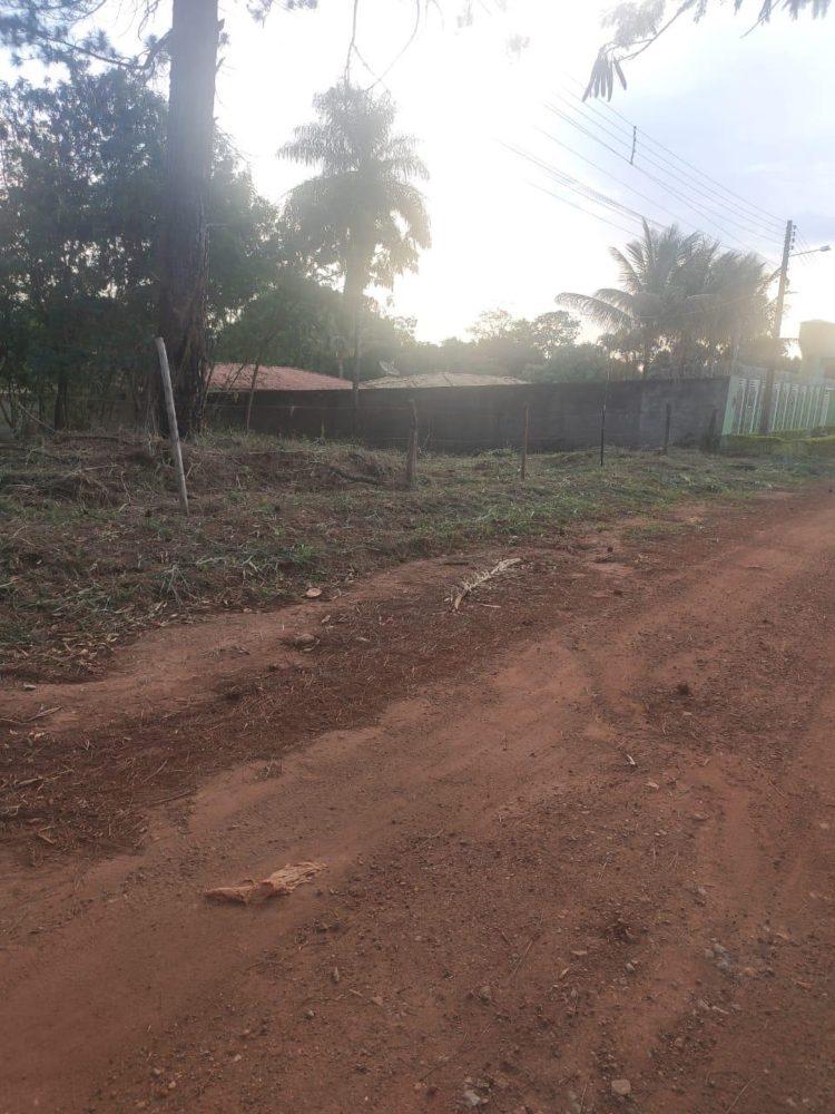 cfedc1a8-7e7d-4f76-a4f0-5241f08bbc59