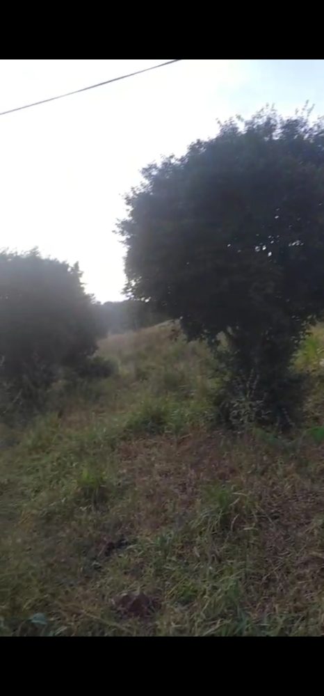 1000861664