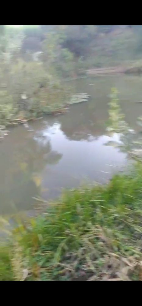 1000861682
