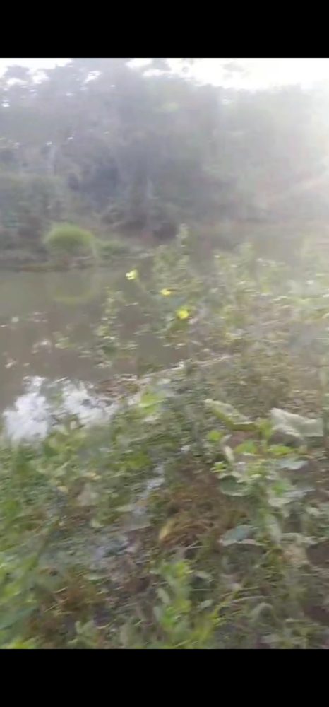 1000861684