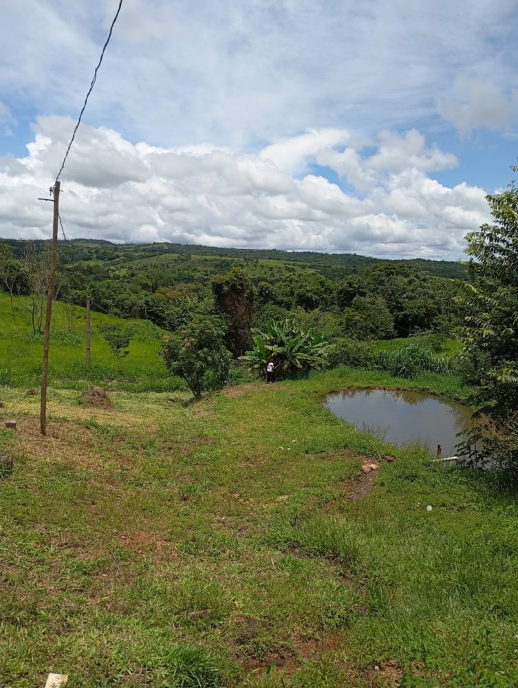 1000861995