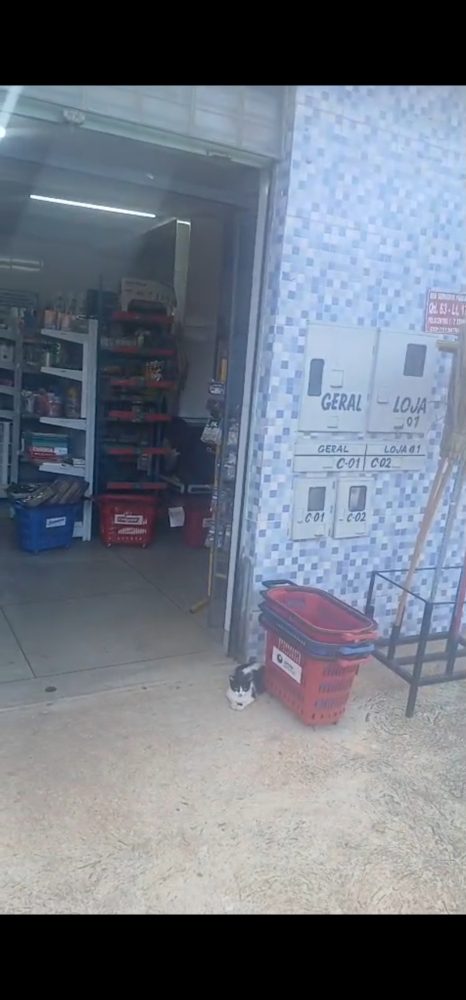1000868726