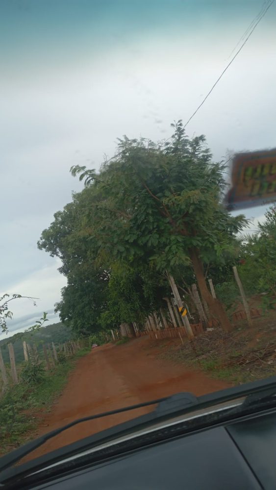 1000895853