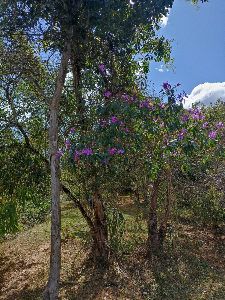 1000902547